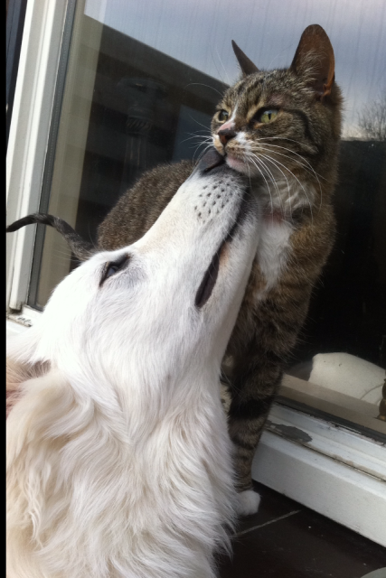Fotos/2010vervolgJnest/Jara/Jara_en_Scooby[1].PNG